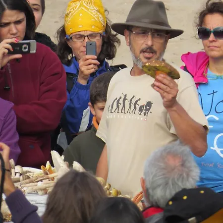 Robin's Nest אתר נופש 2*