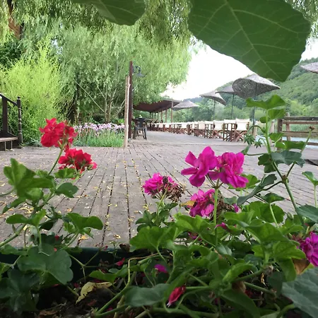 אתר נופש Robin's Nest 2*