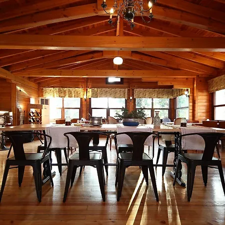 אתר נופש Robin's Nest 2*