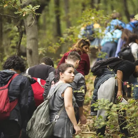 Robin's Nest منتجع آغفا