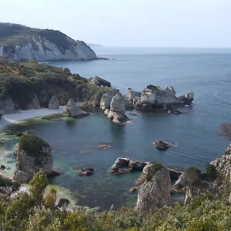 Robin's Nest آغفا