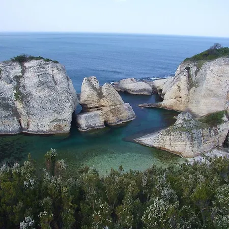 منتجع Robin's Nest