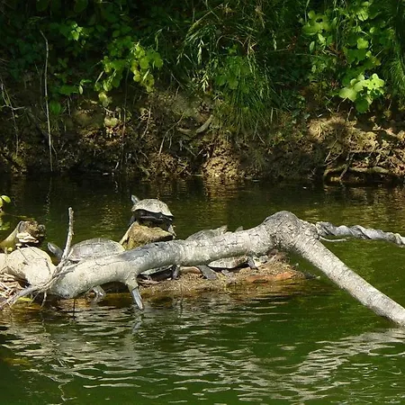 منتجع Robin's Nest 2*