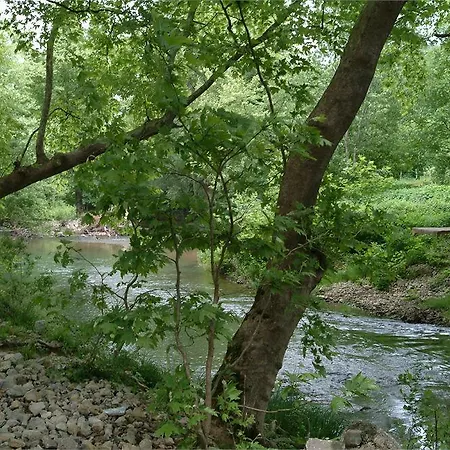 Robin's Nest آغفا