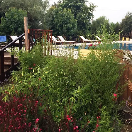 Robin's Nest منتجع