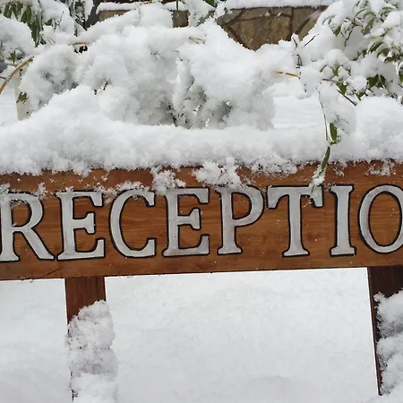 Robin's Nest منتجع